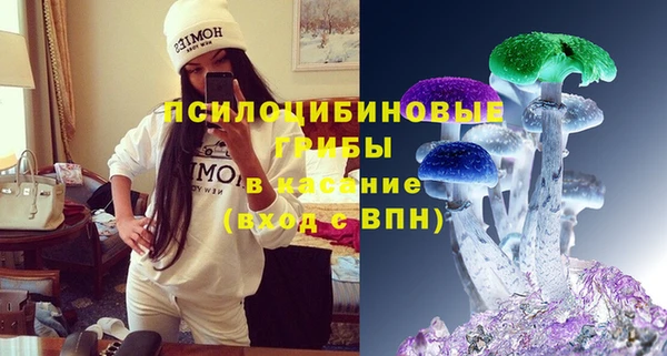 ешки Богородицк