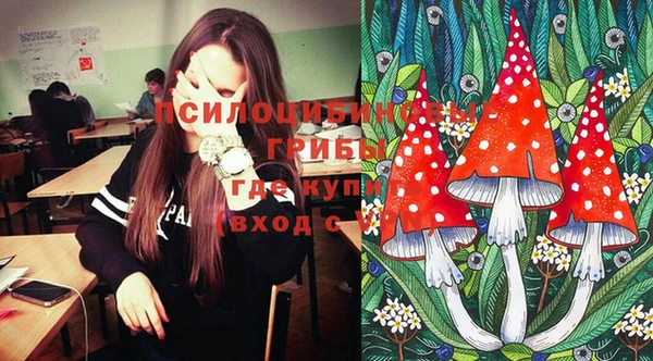 прущие крисы Бородино