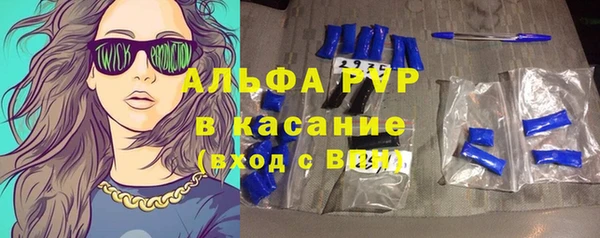 прущие крисы Бородино